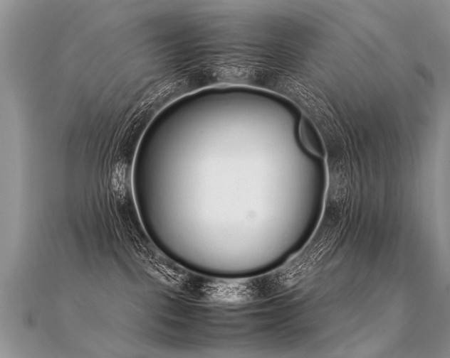 X0000112040093200908101411