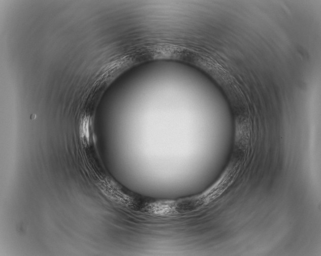 X0000112040094200908101411