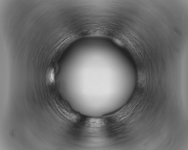X0000112040095200908101411