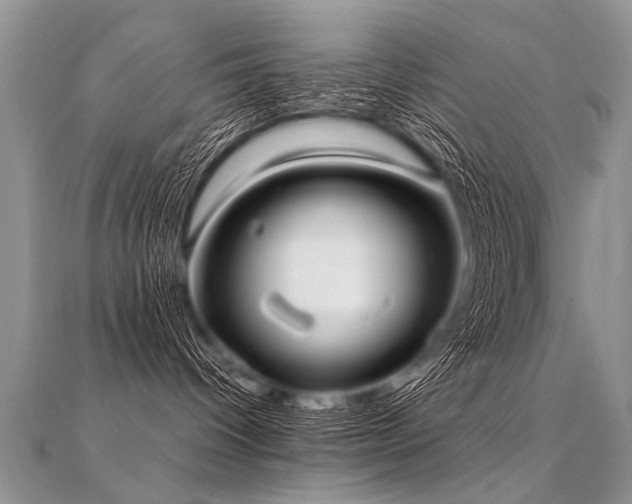 X0000112040096200908101411