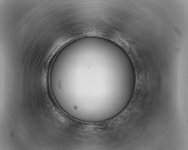X0000112040098200908101410