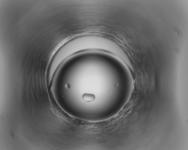 X0000112040100200908101410