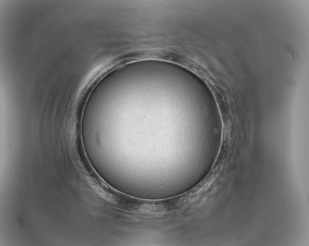 X0000112040101200908101410
