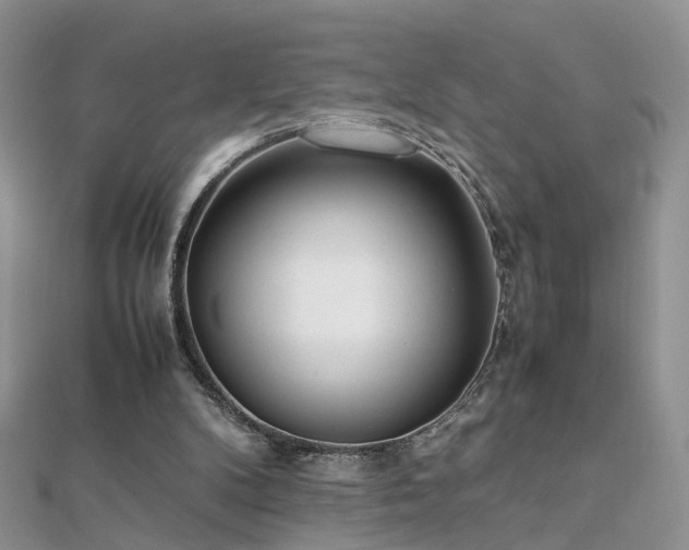 X0000112040104200908101410