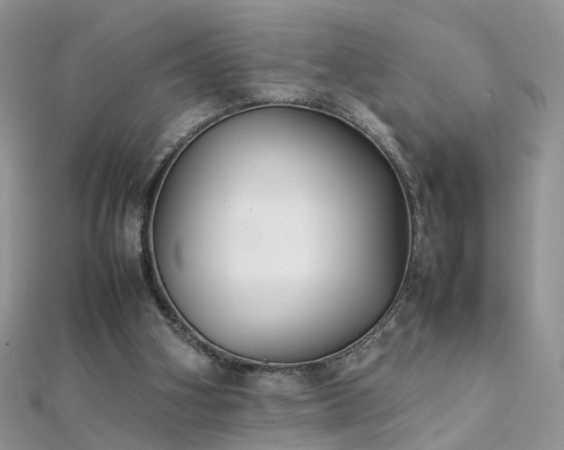 X0000112040106200908101410