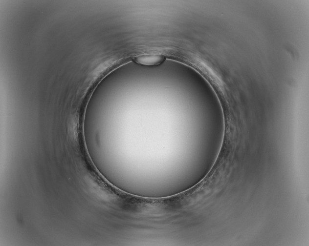 X0000112040107200908101410