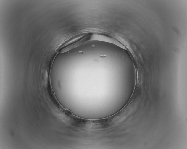 X0000112040109200908101410