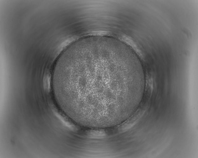 X0000112040110200908101410