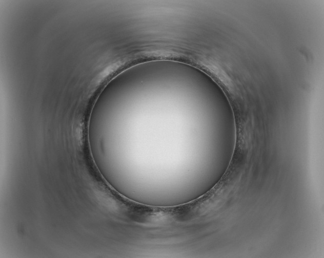 X0000112040111200908101410
