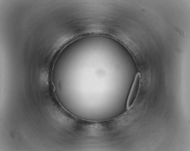 X0000112040112200908101410