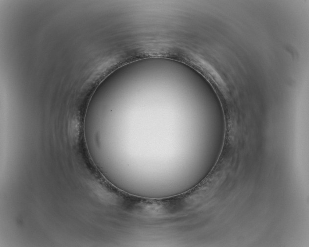 X0000112040113200908101410