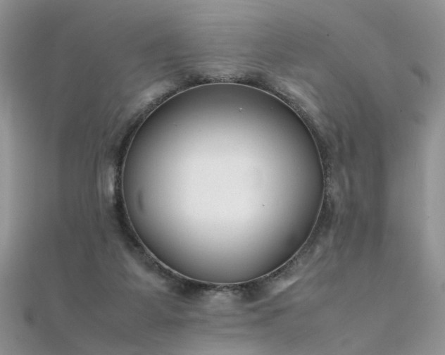 X0000112040115200908101410