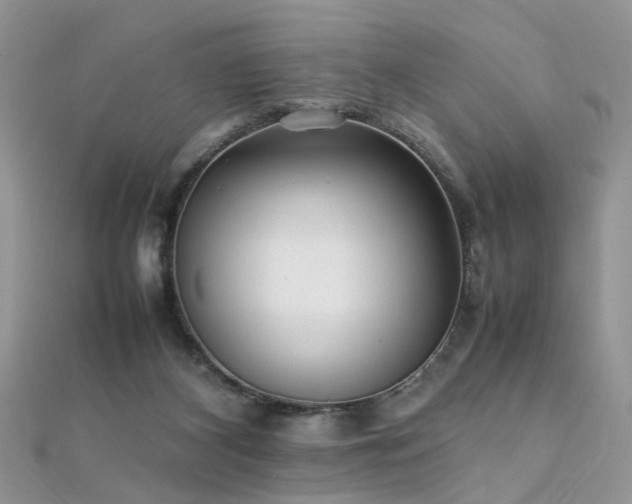 X0000112040116200908101410