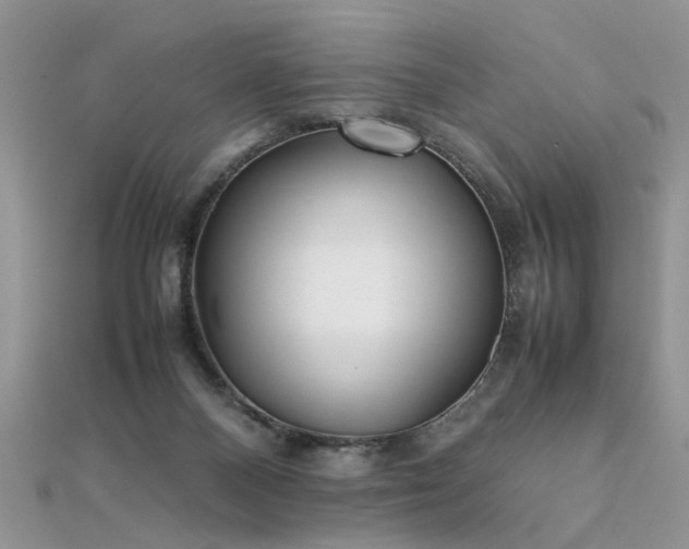 X0000112040120200908101410