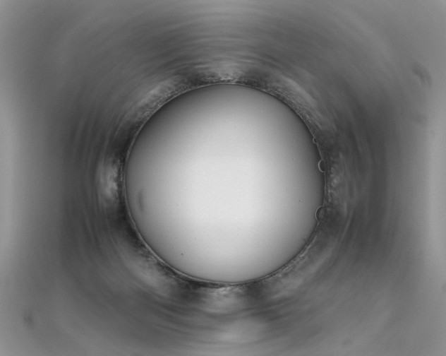 X0000112040122200908101410