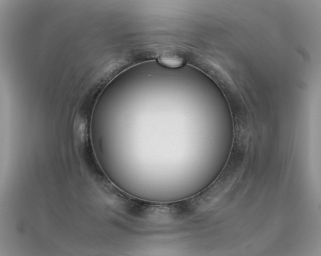 X0000112040123200908101410