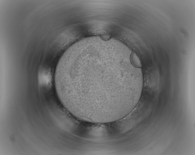 X0000112040124200908101410