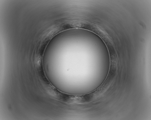 X0000112040125200908101410