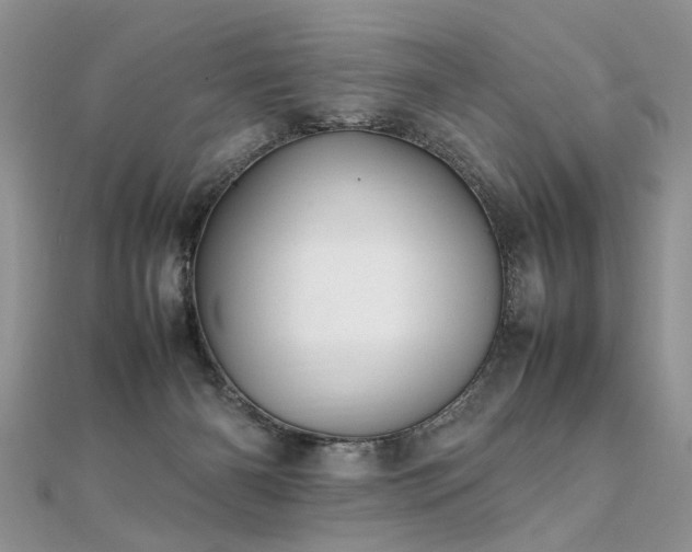 X0000112040126200908101410