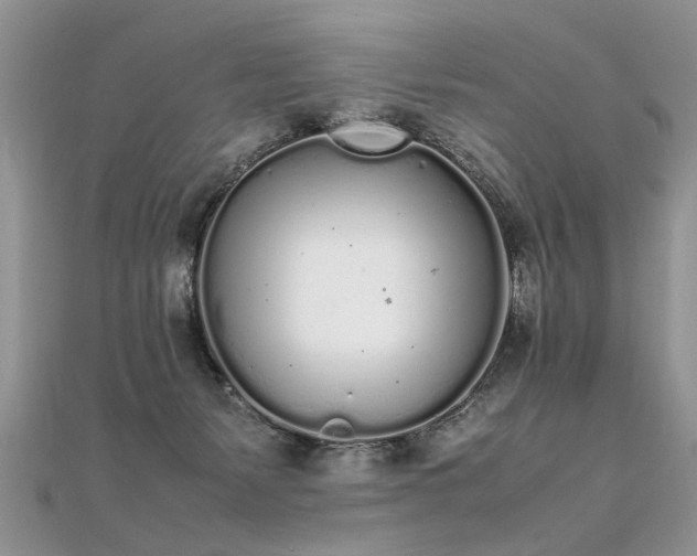 X0000112040127200908101409