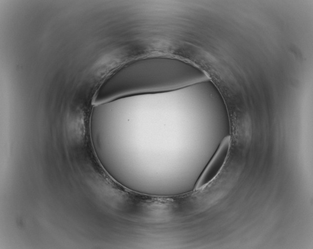 X0000112040128200908101409