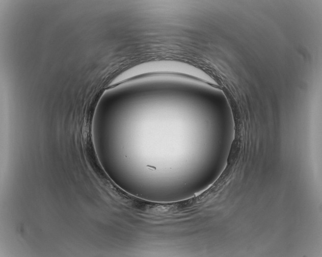 X0000112040129200908101409