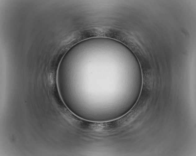 X0000112040131200908101409
