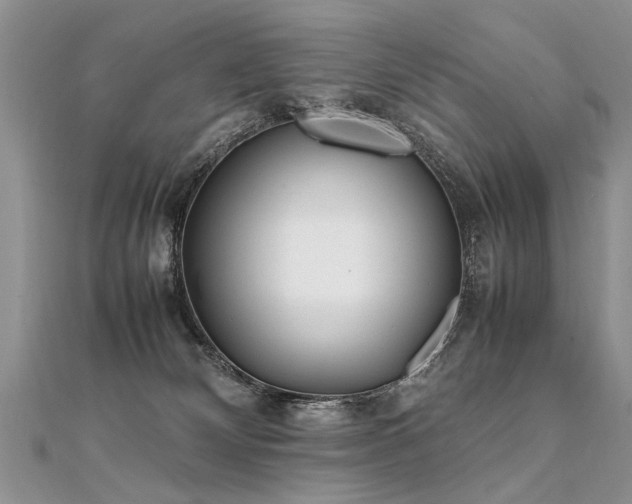 X0000112040132200908101409