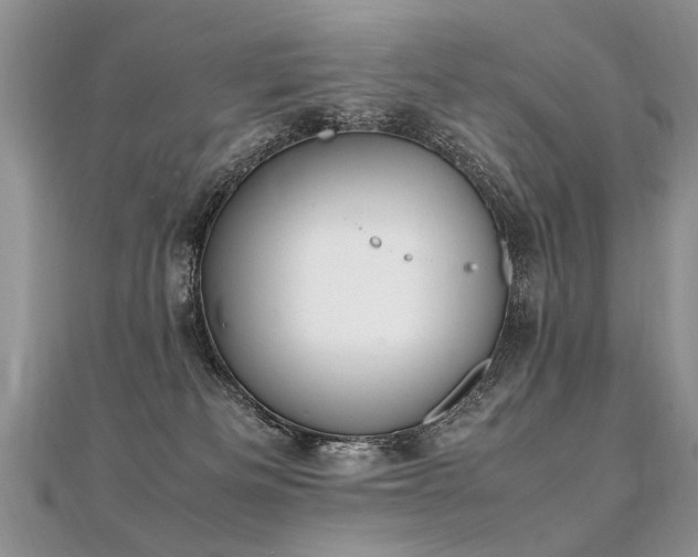 X0000112040133200908101409