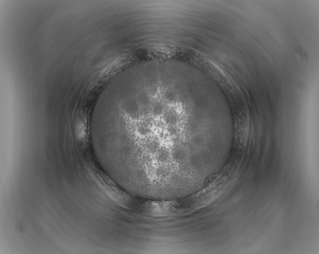 X0000112040134200908101409