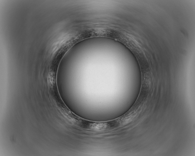 X0000112040135200908101409