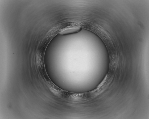 X0000112040136200908101409