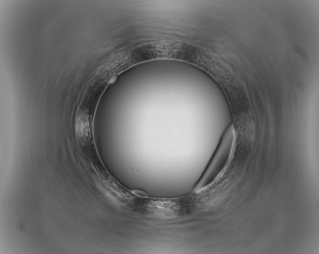X0000112040137200908101409