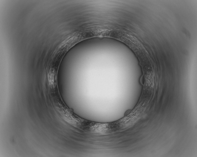 X0000112040138200908101409