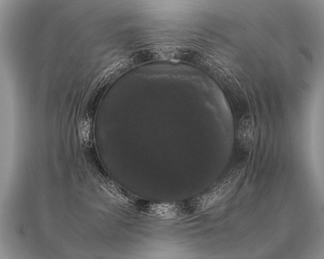 X0000112040139200908101409