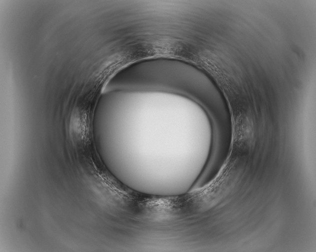 X0000112040140200908101409