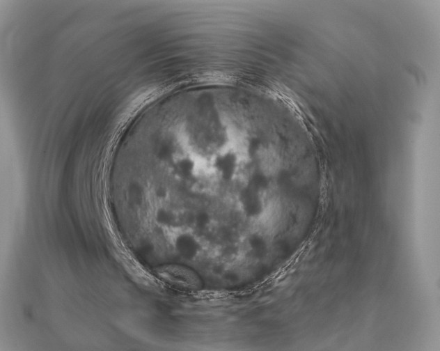X0000112040145200908101409