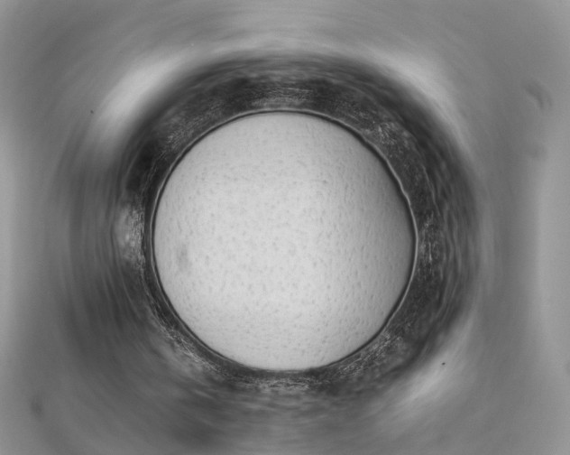 X0000112040146200908101409