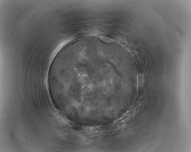 X0000112040147200908101409