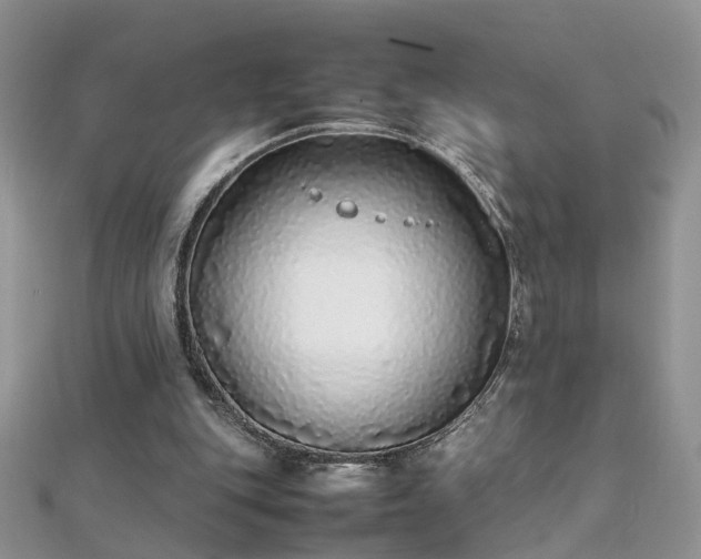 X0000112040151200908101409