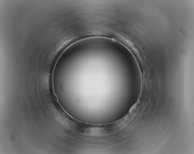 X0000112040154200908101409
