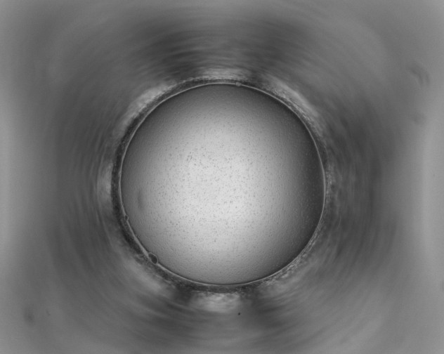X0000112040155200908101409
