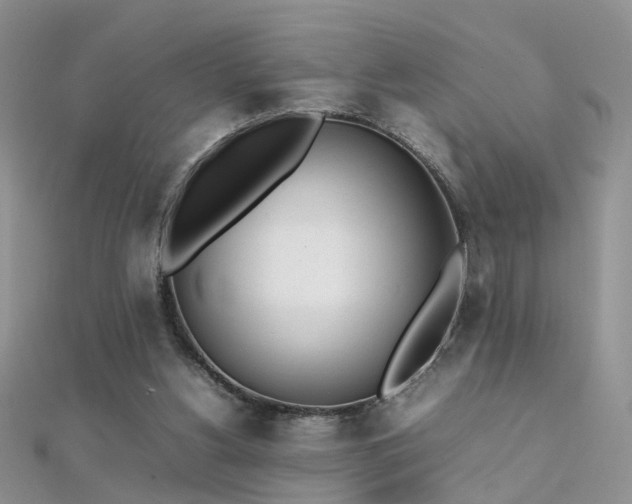 X0000112040156200908101409
