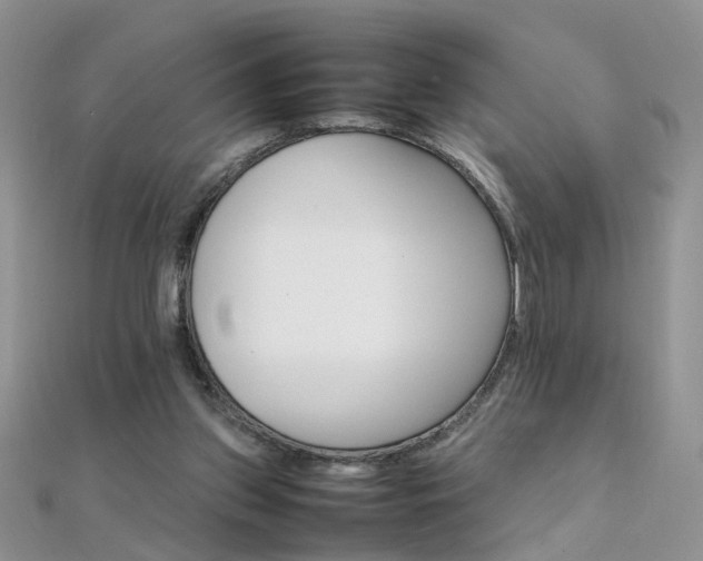 X0000112040157200908101409