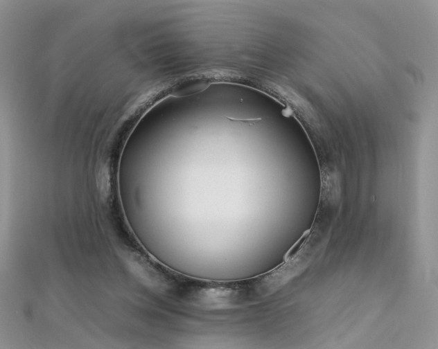 X0000112040158200908101409
