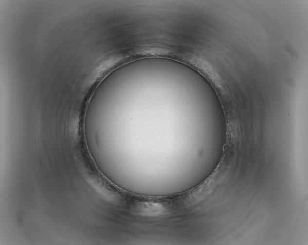X0000112040159200908101409