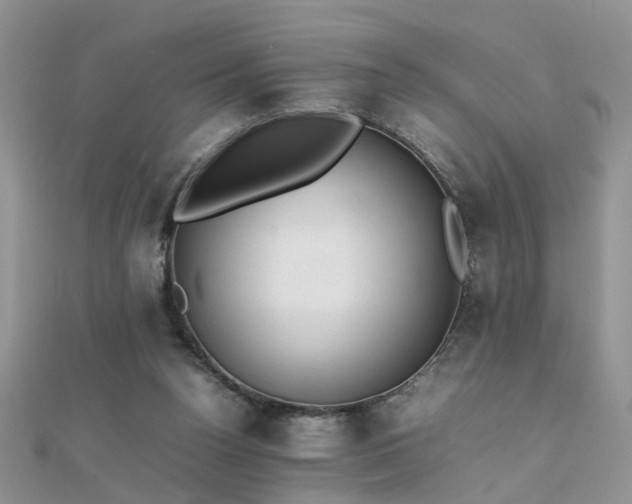 X0000112040160200908101409