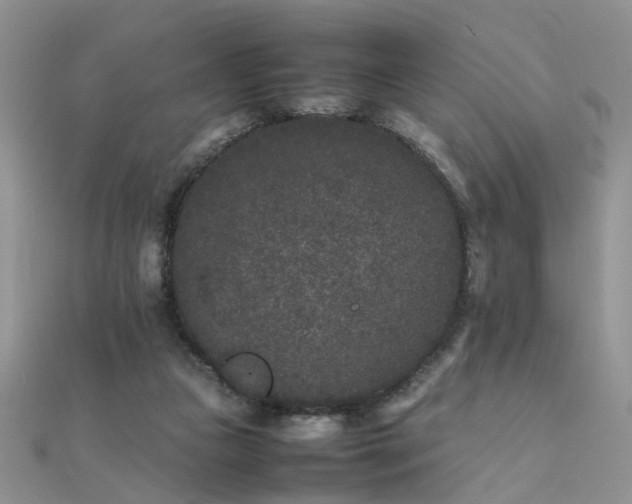 X0000112040161200908101409