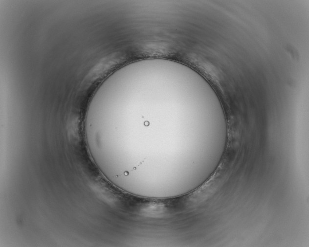 X0000112040162200908101409