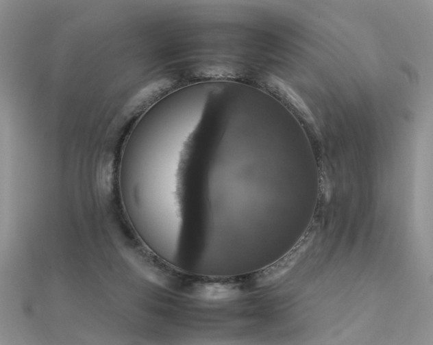 X0000112040163200908101409